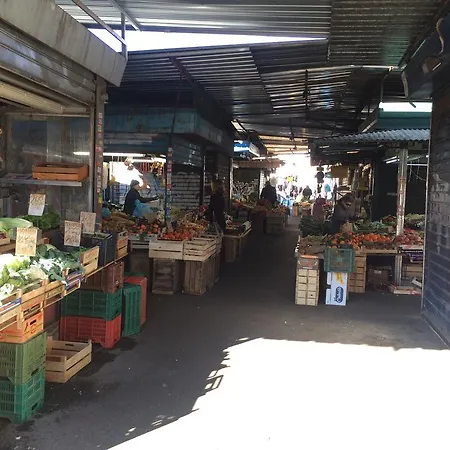 Argilla Roma